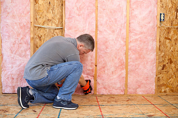 Best Energy Efficiency Insulation in Cortland, IL
