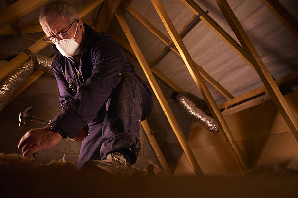 Types of Insulation We Offer in Cortland, IL
