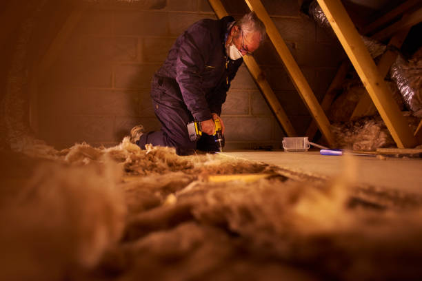 Best Insulation Maintenance and Repair in Cortland, IL