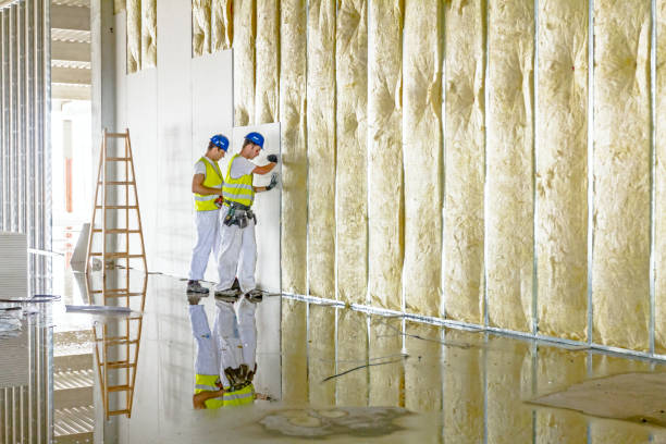 Best DIY Insulation Kits and Guidance in Cortland, IL